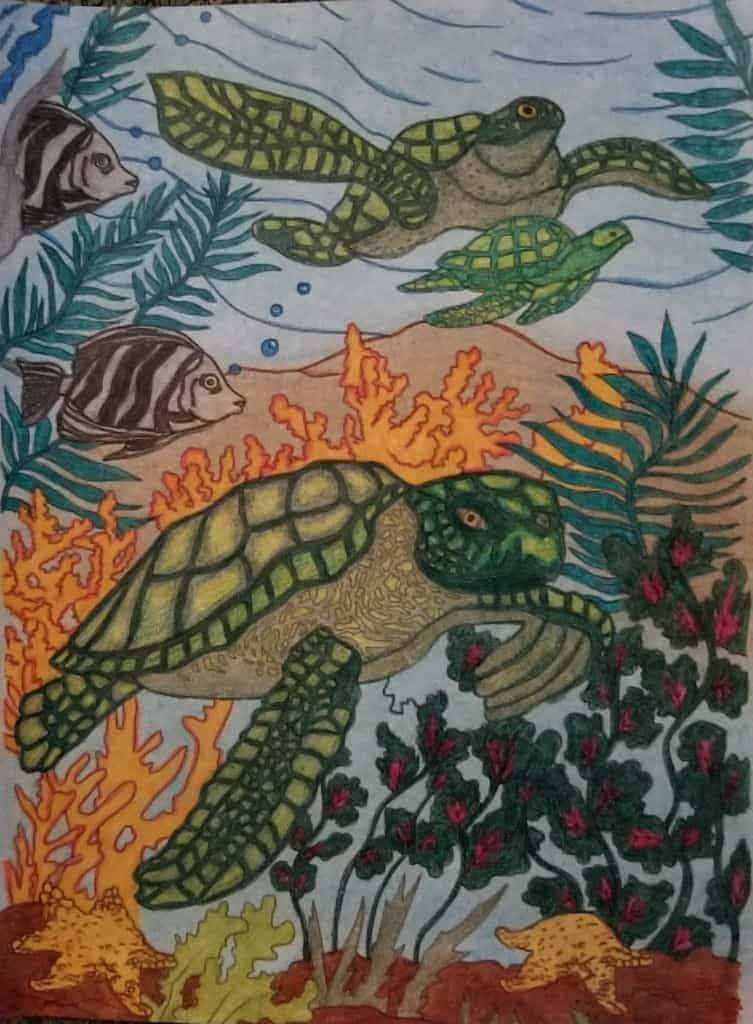 Ocean Life – Turtles