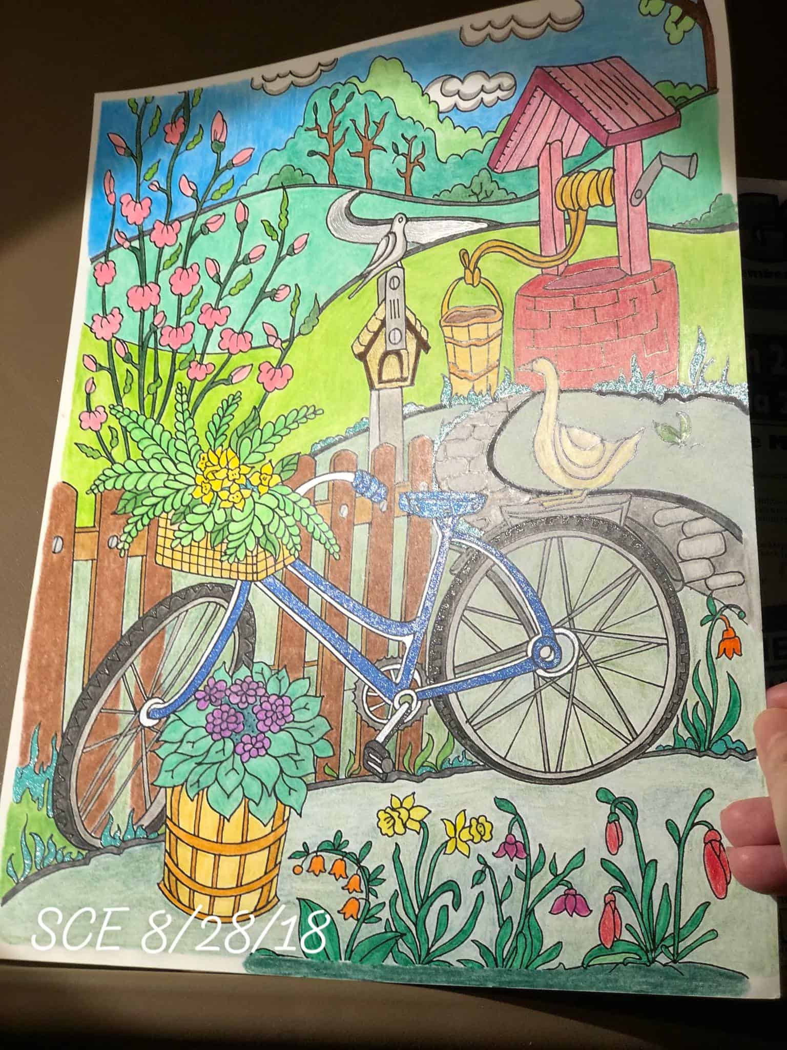 Country Spring – Bicycle