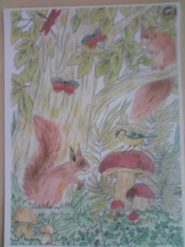 Squirrels
