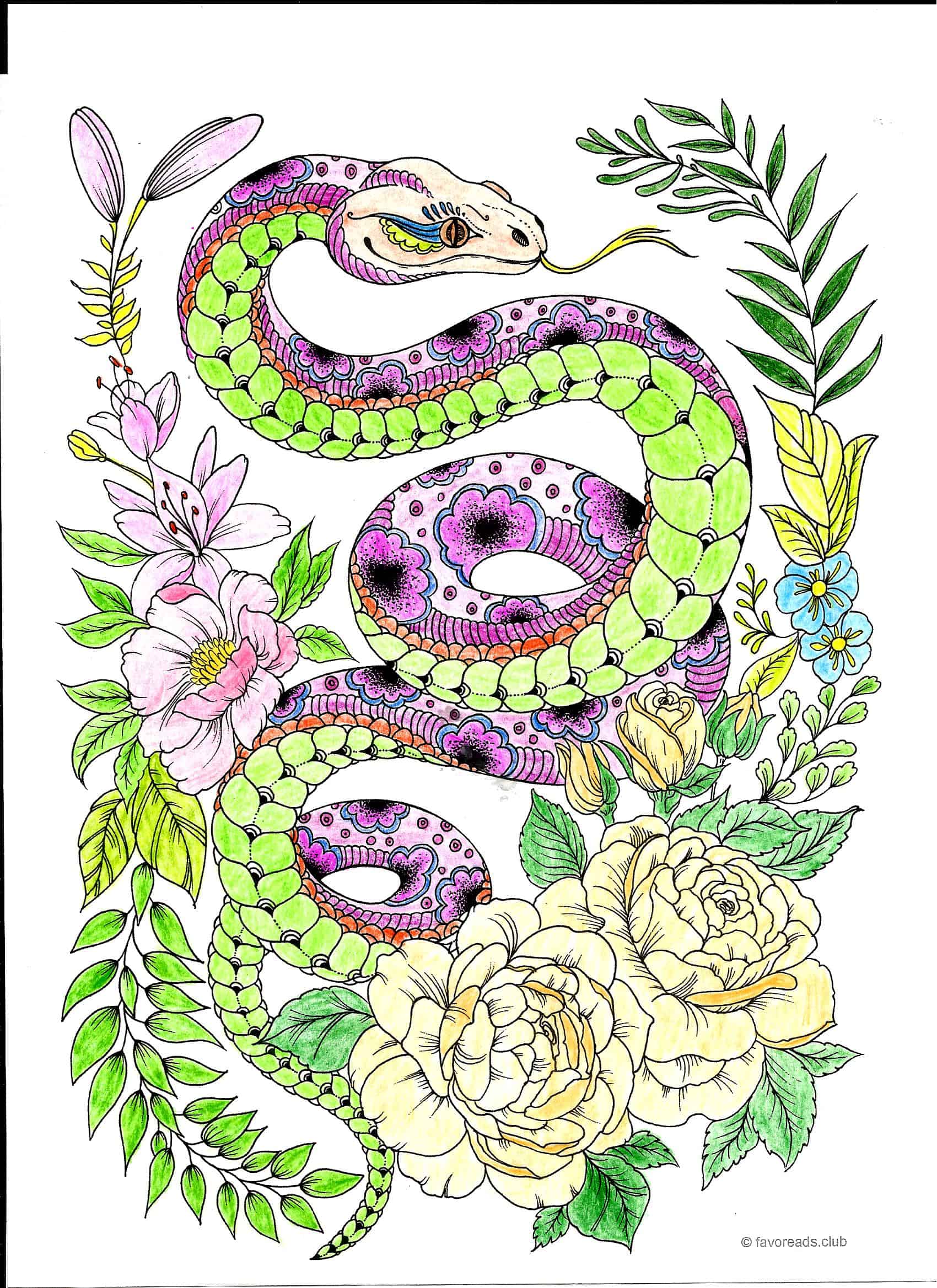 Snake