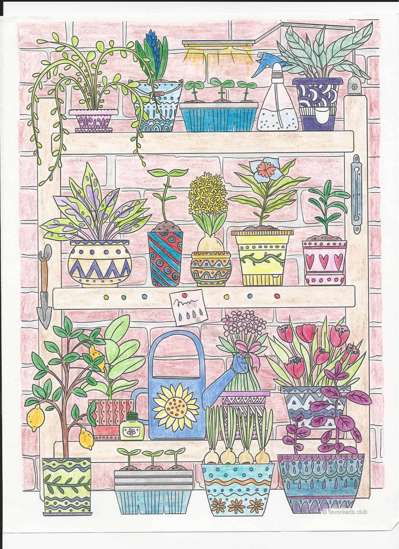Plants