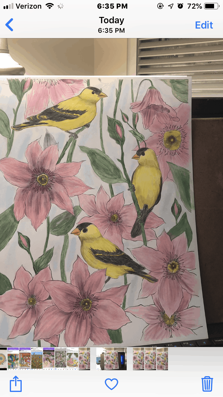Birds and Flowers