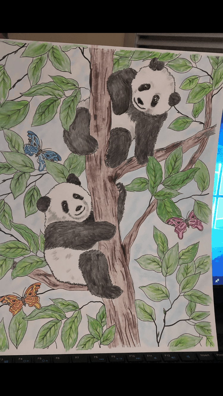 Pandas