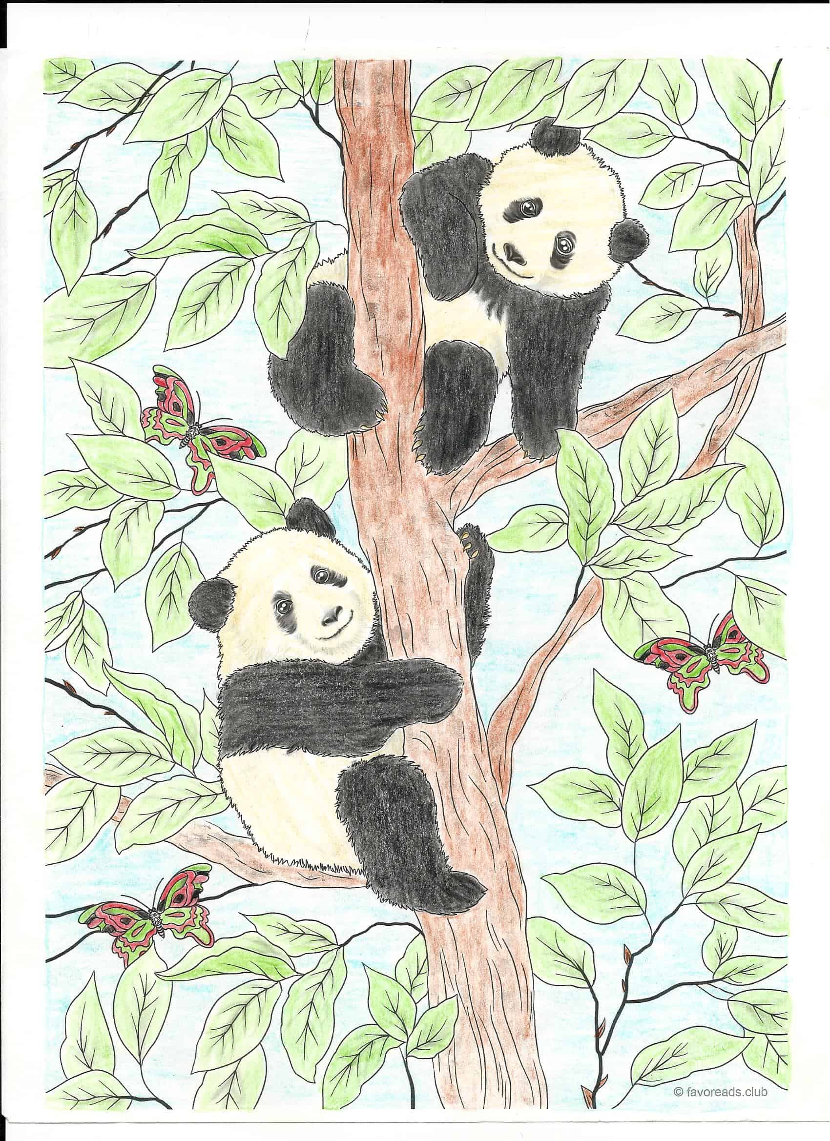 Pandas
