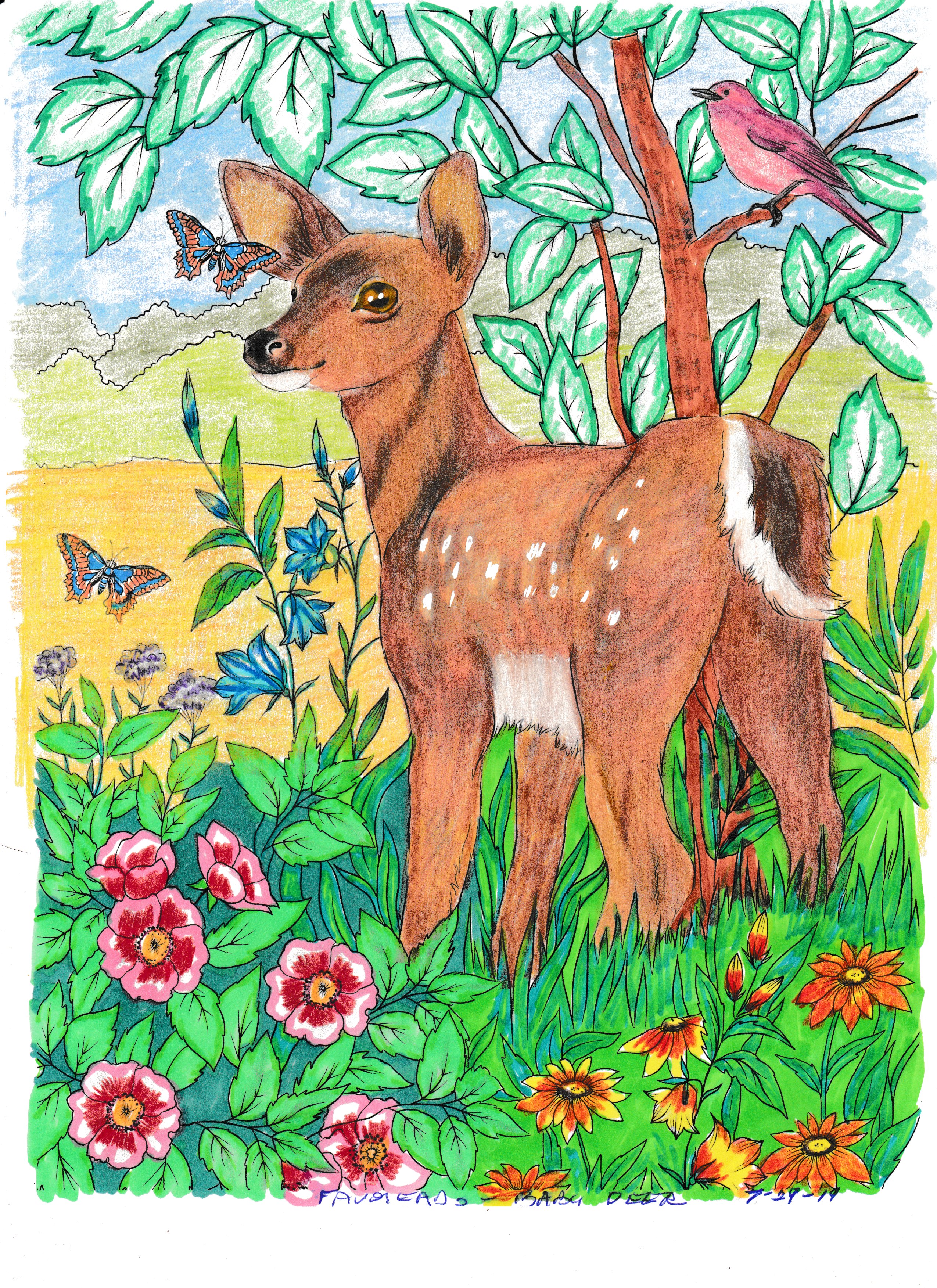 Baby Deer