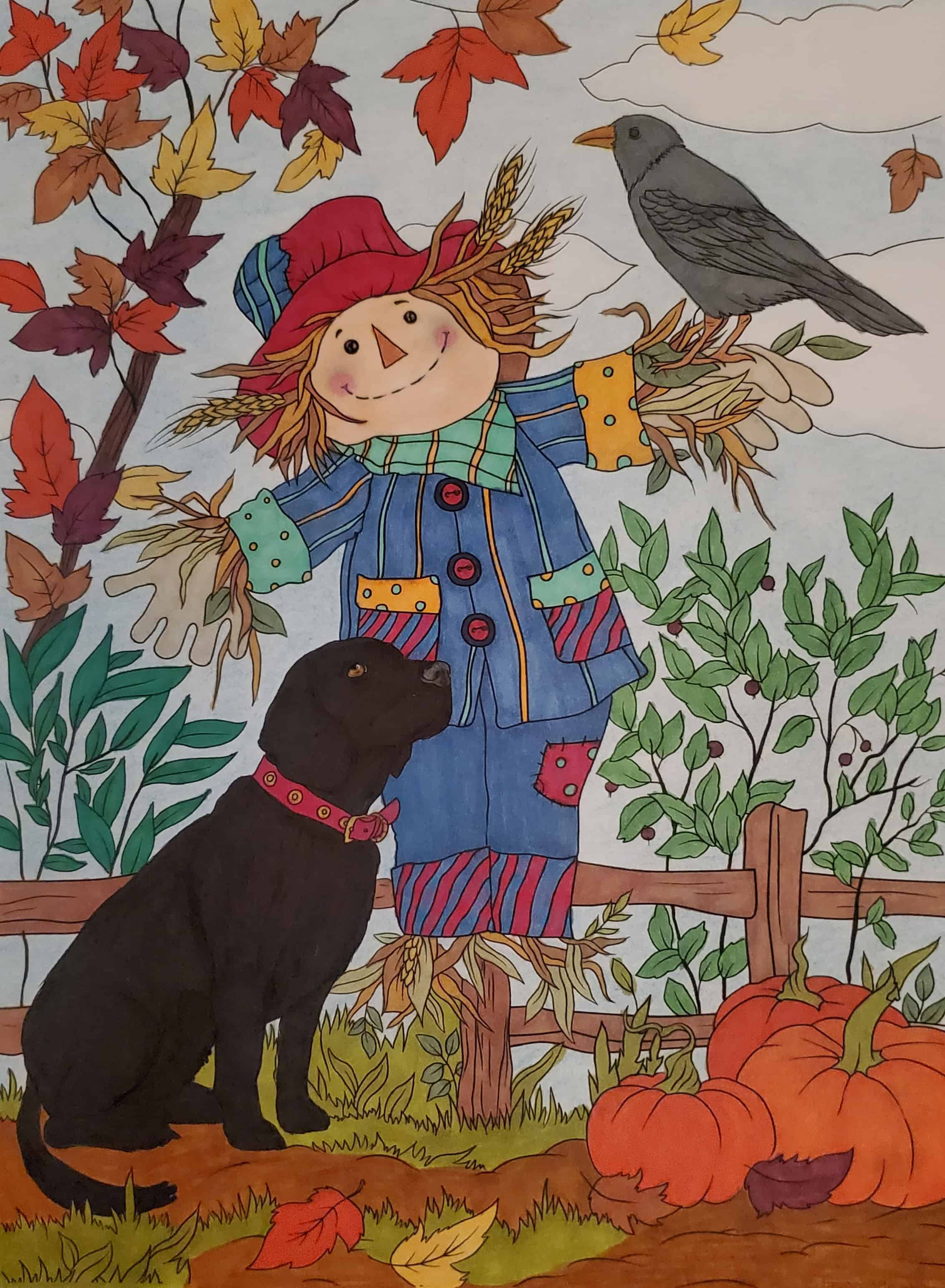 Dog and Scarecrow