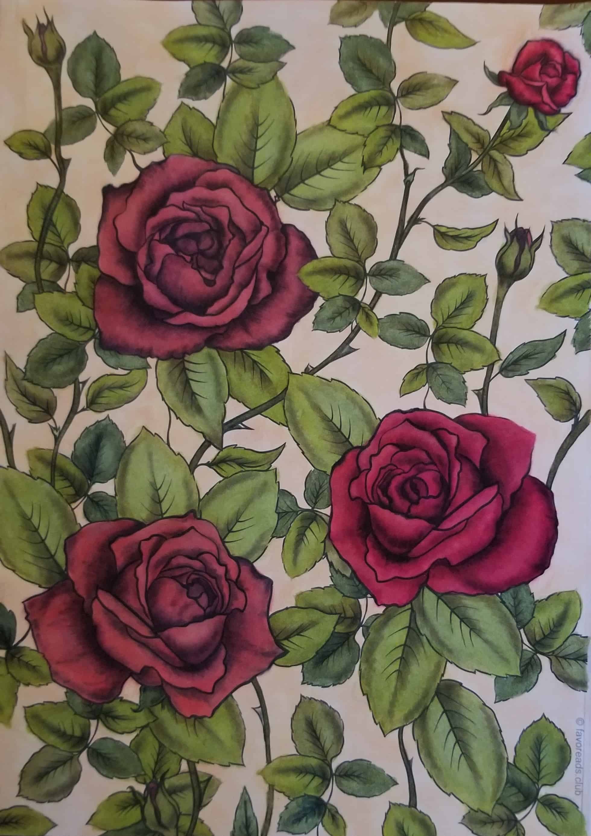 Roses