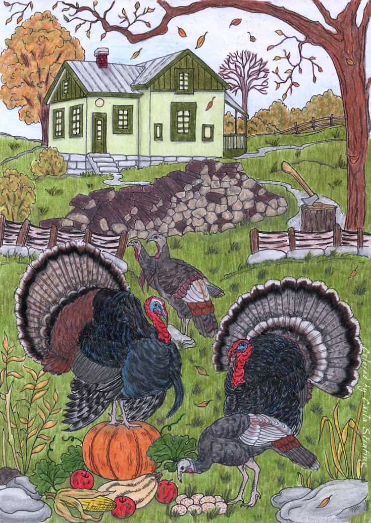 Turkeys
