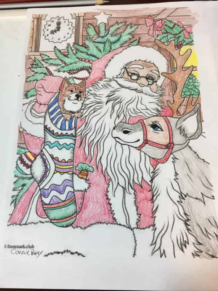 Cats and Dogs – Santa and his Friends