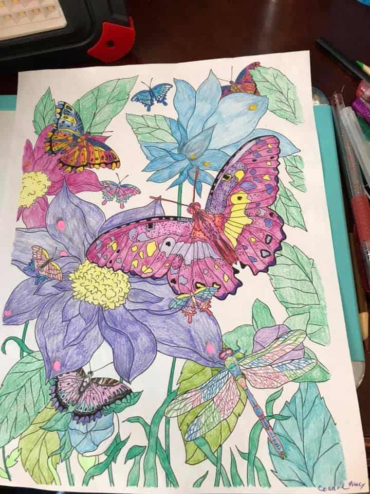 Pretty Butterflies