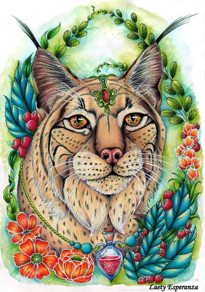 Lynx