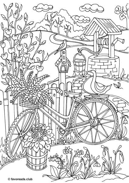 Country Spring – Bicycle