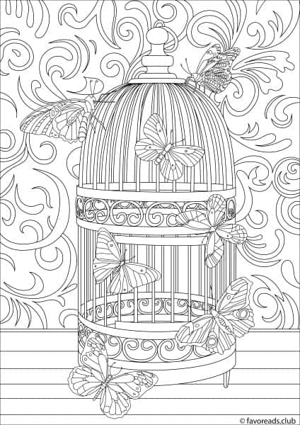 The World of Butterflies – Cage