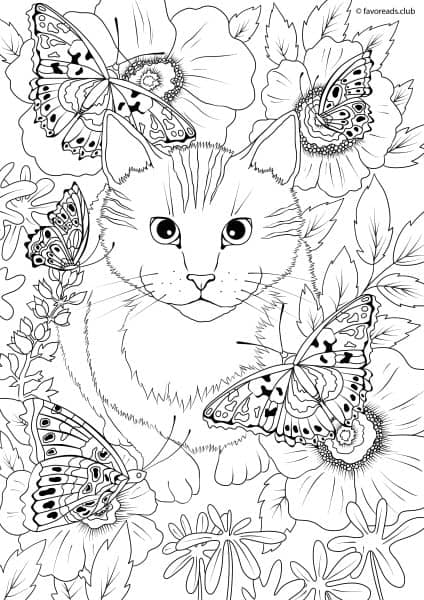 The World of Butterflies – Cat and Butterflies