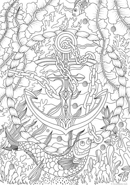 Ocean Life – Anchor