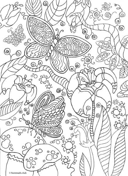 The World of Butterflies – Magic Forest