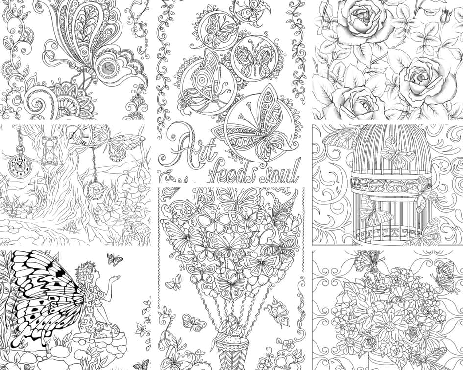 Flowers and Butterflies – 10 Coloring Pages