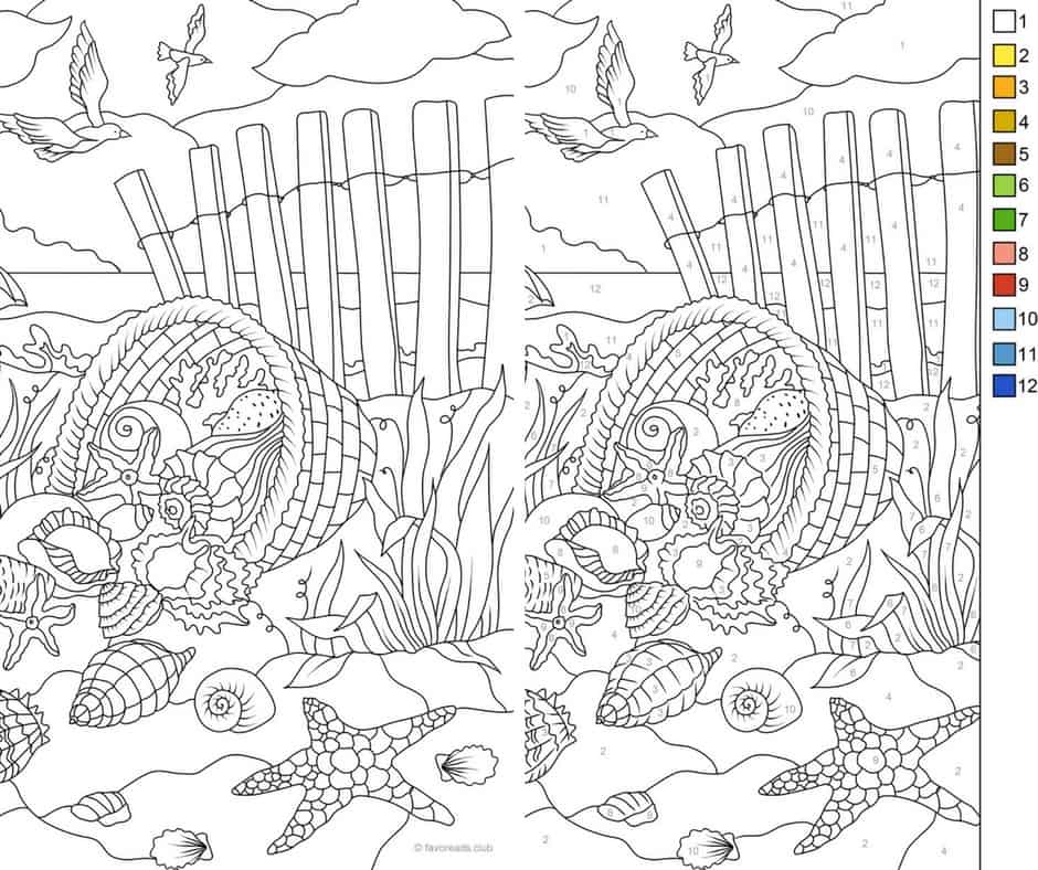 Sea Shells