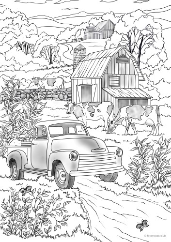 Country Car