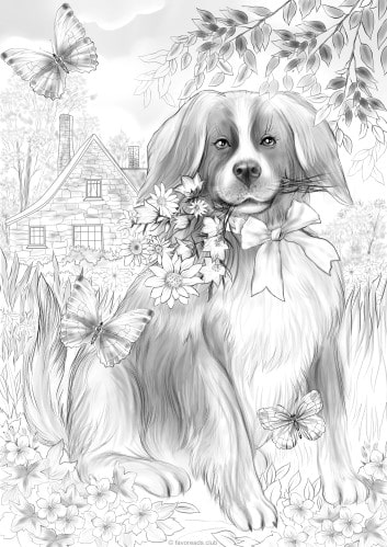 Flowers for You