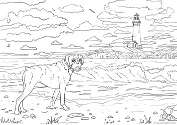 Dog on a Beach