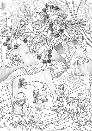 The Land of Gnomes