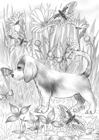 Friendly Puppy