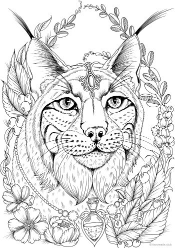 Lynx