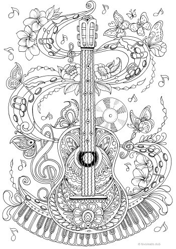 Guitar
