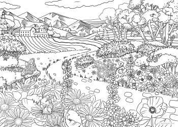 Flower Field