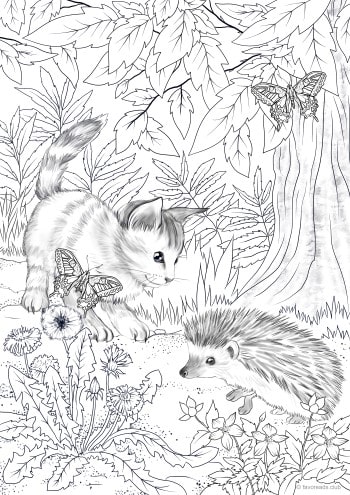 Kitty and Hedgehog