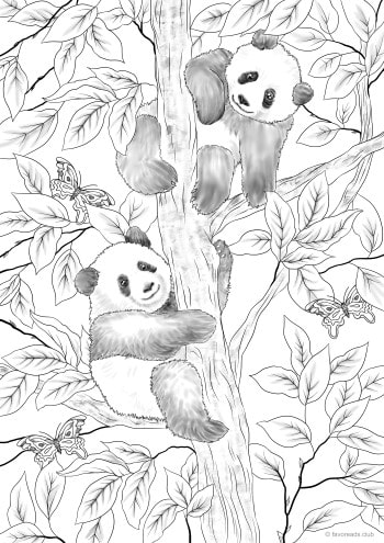 Pandas
