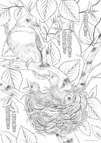 Nest