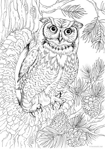 Owl in a Hollow