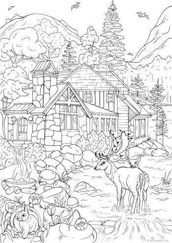 House in the Woods