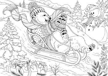 Bear