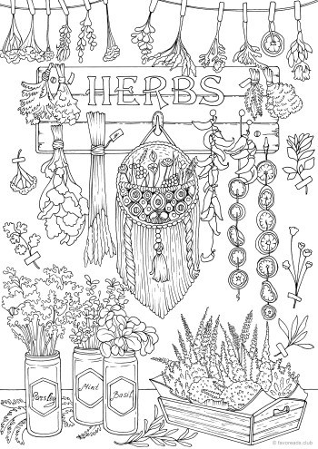 Herbs – Favoreads Coloring Club